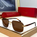 Cartier, Unisex Sunglasses
