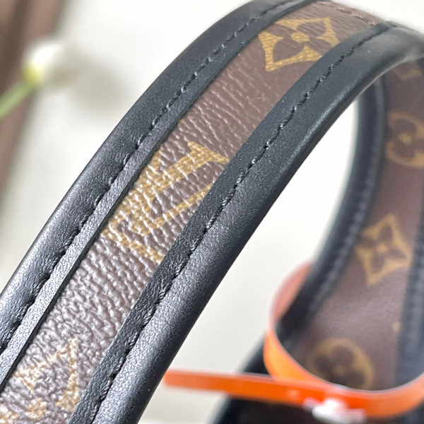 Louis Vuitton, Women Bag, Brown