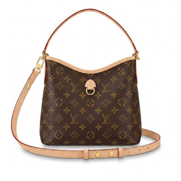 Louis Vuitton, Women Bag, Brown