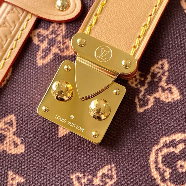 Louis Vuitton, Women Bag, Brown