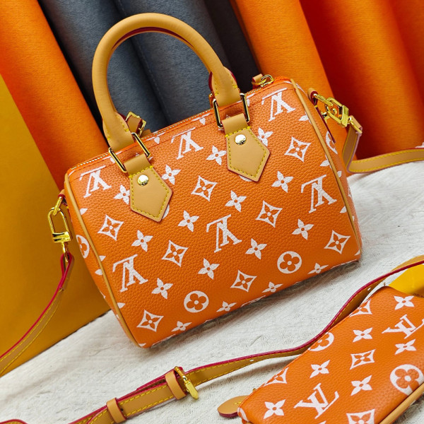 Louis Vuitton, Women Bag