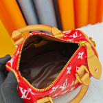 Louis Vuitton, Women Bag
