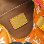Louis Vuitton, Women Bag