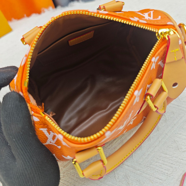 Louis Vuitton, Women Bag