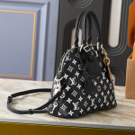 Louis Vuitton, Women Bag