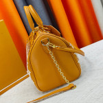 Louis Vuitton, Women Bag