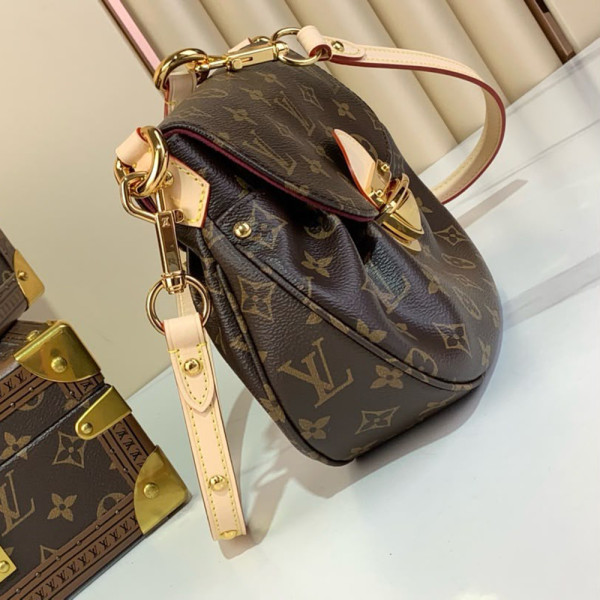 Louis Vuitton, Sunset, Women Bag, Brown