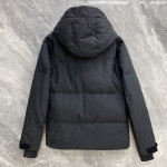 Moncler, Pharrelk Cheastnut, Men Jacket