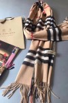 Burberry, Women's Scarf, Brown