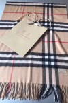 Burberry, Women's Scarf, Brown