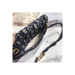 Christian Dior, Saddle, Women's Beltbag, Black