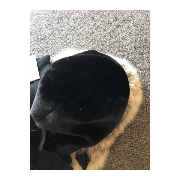 Canada Goose, Women's Kensington Parka, Navy