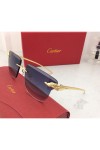 Cartier, Unisex Eyewear