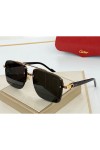 Cartier, Unisex Eyewear