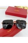 Cartier, Unisex Eyewear