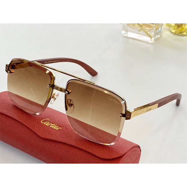 Cartier,  Santos, Unisex Eyewear