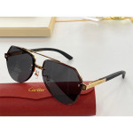 Cartier, Santos, Unisex Eyewear