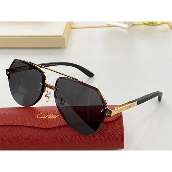 Cartier, Santos, Unisex Eyewear