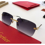 Cartier, Premiere, Men's Eyewear