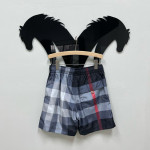 Burberry, Men's Swimshort, Grey